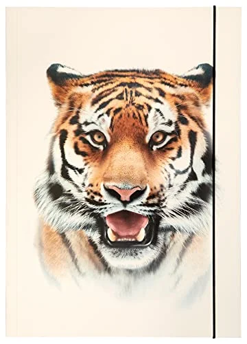 folia 69004 Samlarmapp A3 Basic Roaring Tiger, tillverkad av robust kartong med gummiband 4001868126990