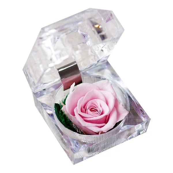 1 pc Preserved Fresh Rose Flower in Glass Dome with Ribbon Decoration Rose Gift for Valentine’s Day, Anniversary, Birthday (Light Pink) HY-SY-080409139 1 pc Preserved Fresh Rose Flower in Glass Dome with Ribbon Decoration Rose Gift for Valentine’s Day, Anniversary, Birthday (Light Pink) HY-SY-080409139