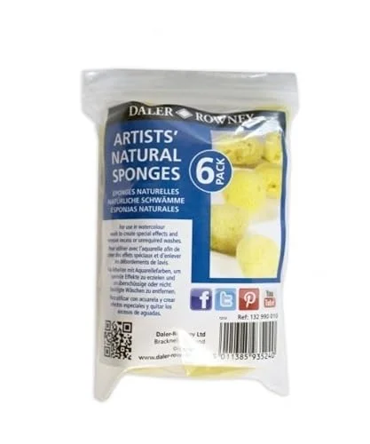 Artister W/C SPONGE (6 tum personer) 5011385935240