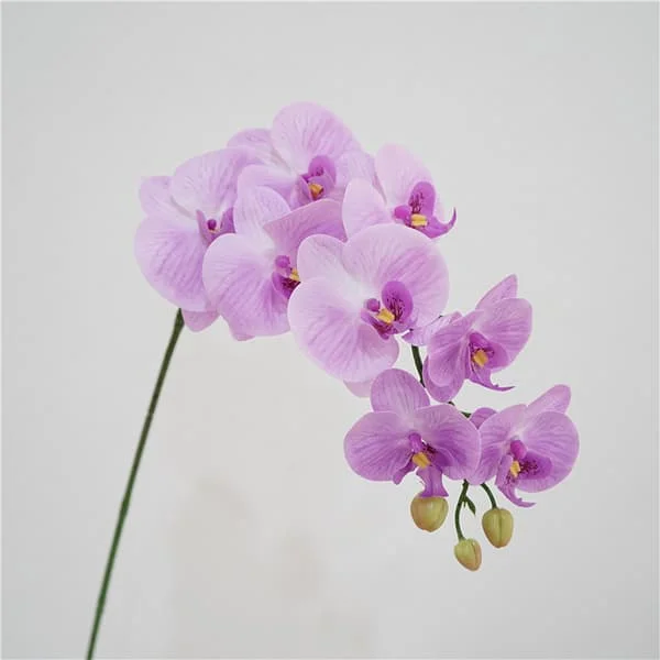 1 konstgjord Phalaenopsis blomma, realistisk känsla, modell för hemmet, dekoration BCAA00121634 1 konstgjord Phalaenopsis blomma, realistisk känsla, modell för hemmet, dekoration BCAA00121634