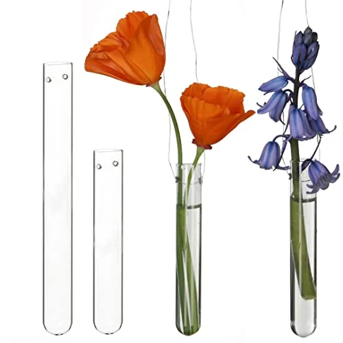 12 provrör för blommor att hänga, vas med hål upphängning, fönsterdekoration, bröllopsdekoration, tulpanvasglas, vaser dekoration, hängande glasset (10 cm) 8720387240005 12 provrör för blommor att hänga, vas med hål upphängning, fönsterdekoration, bröllopsdekoration, tulpanvasglas, vaser dekoration, hängande glasset (10 cm) 8720387240005