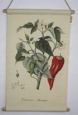 015 Canvas Bonad Chili Multi 15
